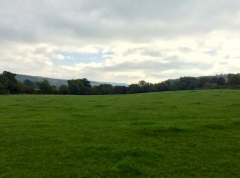 Trail On foot Mole Valley - Norbury Park walk (SCC) - Photo