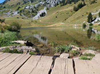 Excursión Bici de montaña Châtel - abondance  - Photo