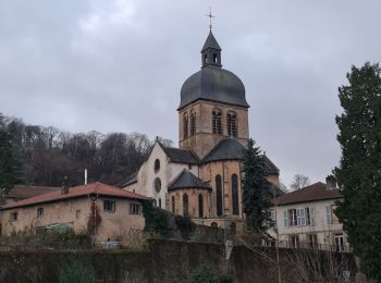 Randonnée Marche Gorze - Gorze - Autour du Mont Saint Belin et le Moyenmont - Photo