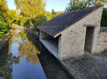 Randonnée Marche Cély - Les lavoirs de Cély et Fleury en Bière - Photo