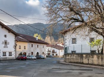 Tour Zu Fuß Irañeta - Irañetako haritzen ibilbidea - Photo