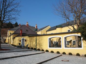 Excursión A pie Gemeinde Gumpoldskirchen - Klinger Runde bei Gumpoldskirchen - Photo