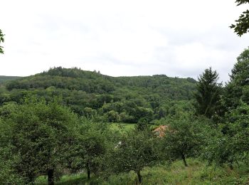 Percorso A piedi Hofheim am Taunus - Rundwanderweg Keiler - Photo