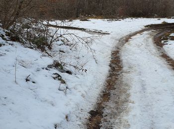 Tocht Stappen Bouyon - BROC ANOU - Photo