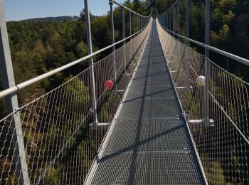 Tocht Wegfiets Riotord - 42 st genest malifaux passerelle lijgnon yssingeaux - Photo