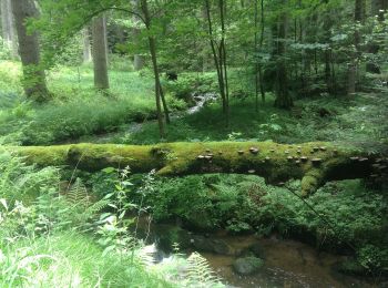 Tocht Te voet Windischeschenbach - Windischeschenbach Rundwanderweg Nr. 3 - Photo