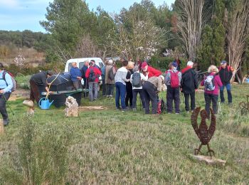 Randonnée Marche Rustiques - Rustique - Photo