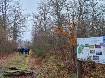 Excursión Senderismo Fère-en-Tardenois - Fere en Tardenois Rando-Santé - Photo