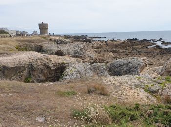 Excursión Senderismo Le Croisic - tour du croisic - Photo