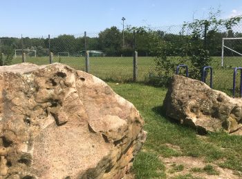 Randonnée Marche Rouen - Entre deux rivières  - Photo