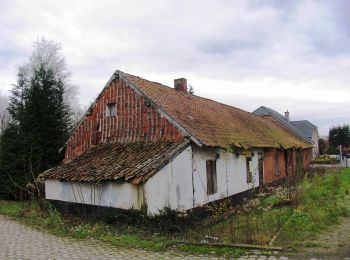 Excursión A pie Lummen - Venusberg Oranje bol - Photo