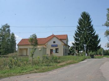 Tour Zu Fuß Lochnitz - [Ž] Lochenice - Probluz - Photo