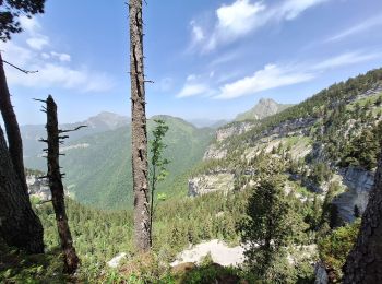 Randonnée Marche Plateau-des-Petites-Roches - Dent de Crolles  - Photo