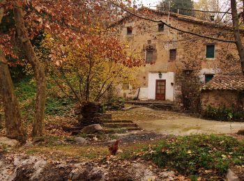 Randonnée A pied Cànoves i Samalús - SL-C 90 Riera de Vallfornes - Photo