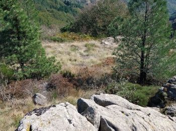 Trail Walking Fraisse-sur-Agout - haute vallée de l agout  - Photo