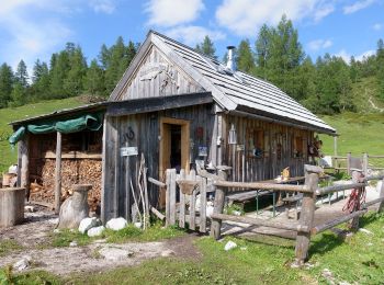 Tocht Te voet Bad Mitterndorf - 6-Seen-Wanderung - Photo