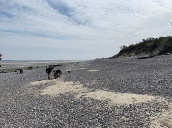 Trail On foot Cayeux-sur-Mer - Le Hourdel - Photo