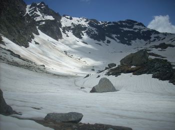 Tour Zu Fuß Chiesa in Valmalenco - Chiareggio-Rifugio Longoni-Alpe Sasso Nero-Rifugio Palù- Alta Via 4° tappa - Photo