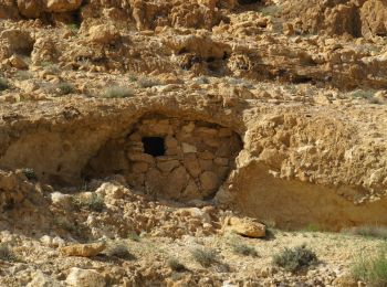 Trail On foot Ramat Negev Regional Council - נחל אלות - Photo