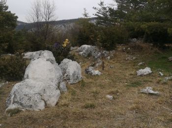 Tocht Stappen Escragnolles - hameau de Clars avec Toto - Photo