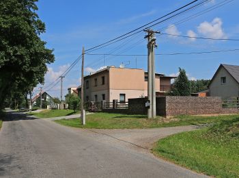 Percorso A piedi Týniště nad Orlicí - Poorlická NS - Photo