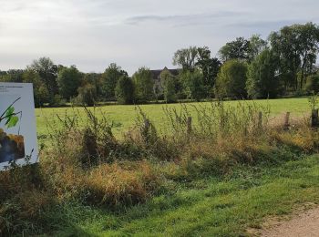 Tocht Hybride fiets Changé - reco le mans sept 2021 - Photo