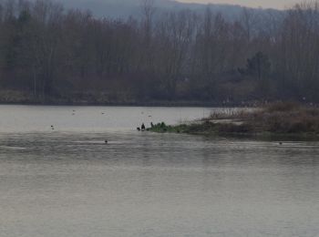 Trail Cycle Pont-Sainte-Maxence - sortie AU5V - Photo