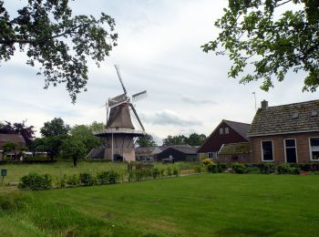 Randonnée A pied Dalfsen - WNW Vechtdal - Nieuwleusen - rode route - Photo