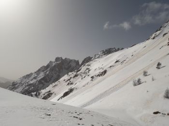 Trail Walking Arvieux - Com de Fontouse - Photo