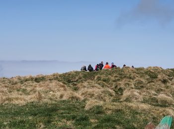 Tocht Stappen Sarrancolin - pic de montaut - Photo