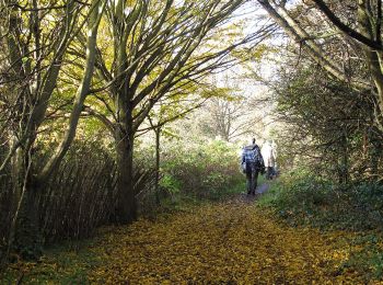 Tour Zu Fuß London Borough of Bexley - Shuttle Riverway - Photo