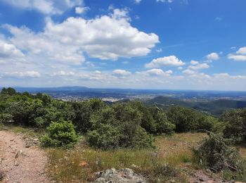 Tocht Stappen Saint-Jean-du-Gard - Saint Jean du Gard - Ales - Photo