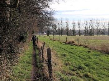 Tocht Stappen Seneffe - Feluy depuis Arquennes - Photo