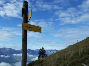 Trail Walking Mens - bonnet de Calvin - Photo