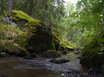 Excursión A pie Hyvinkää - Mustan kiven kierros - Photo