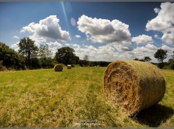 Tour Zu Fuß Spézet - Le_Bocage_Kerniou-Kerguen - Photo