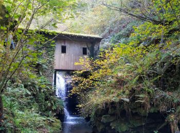 Tocht Stappen Baztan - Infernuko errota - le moulin de l'enfer 2024/02/20. - Photo