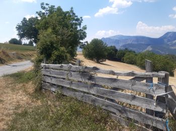 Randonnée Marche Le Sauze-du-Lac - les Demooselles coiffées (vues du dessus)  - Photo