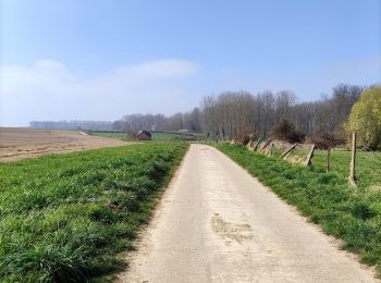 Randonnée Marche Tongres - Promenade de la beauté cachée à Lauw  - Photo