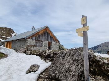 Randonnée Marche Abondance - Chalet d