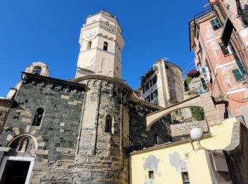 Trail Walking Vernazza - sejour-cinq-terres-4eme-jour-corniglia-manarola-riomaggiore - Photo