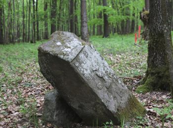 Trail On foot Bad Staffelstein - Terrainkurweg 5 Bad Staffelstein - Photo