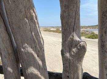 Tour Wandern Aigues-Mortes - Les Salins D’Aigues Mortes - Photo