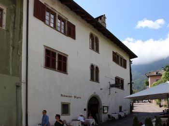 Percorso A piedi Caldaro sulla Strada del Vino - Sentiero della pace - Photo