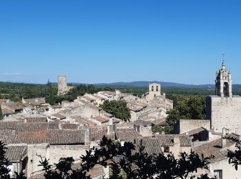 Excursión Senderismo Cucuron - Cucuron Vaugines - Photo