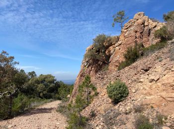 Randonnée V.T.T. Les Adrets-de-l'Estérel - Esterel 8 : Fait 2022 les Adrets Fréjus st Raphaël Agay et retour - Photo