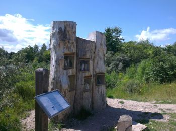 Trail On foot  - Ådalen - Photo