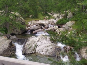 Percorso Marcia San Martino Lantosca - boucle refuge de Cougourde/lac de Ttecolpas/ Pas des Ladres - Photo