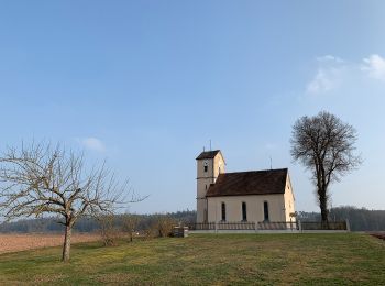 Trail On foot Aurach - Besinnungsweg Sonnengesang - Photo