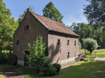 Tocht Te voet Bree - Solterheide Groene rechthoek - Photo